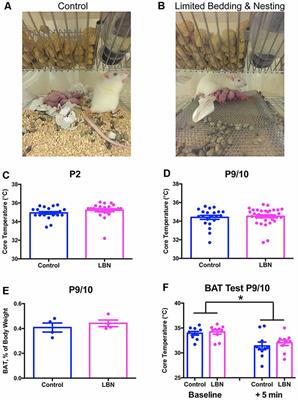 Programming of Stress-Sensitive Neurons and Circuits by Early-Life Experiences